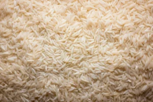Conab Destina R$ 300 Milhões para Arroz: Saiba Mais!
