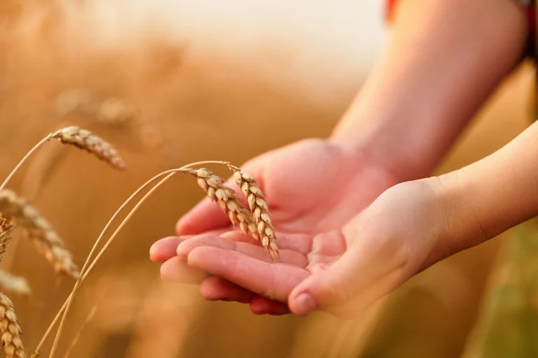 Governo e Estados Unem Forças para Crescimento do Agronegócio Brasileiro